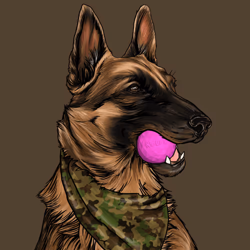 Wardogs Gunclub