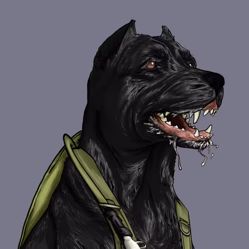 Wardogs Gunclub