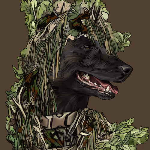 Wardogs Gunclub