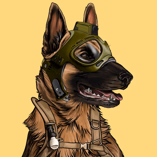 Wardogs Gunclub