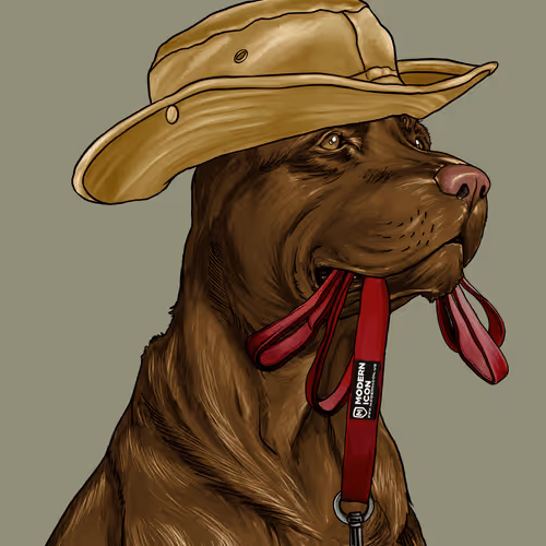 Wardogs Gunclub
