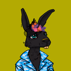 Kool Rabbits #650