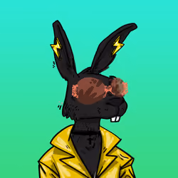Kool Rabbits #649