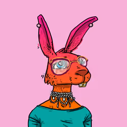 Kool Rabbits #417