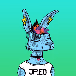 Kool Rabbits #449