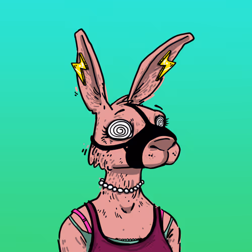 Kool Rabbits Chapter1