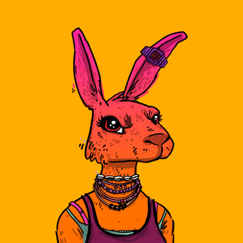 Kool Rabbits #164