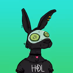 Kool Rabbits #684