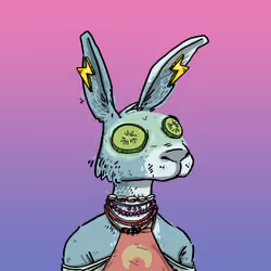 Kool Rabbits #143