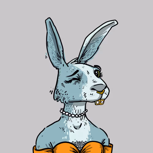 Kool Rabbits #155
