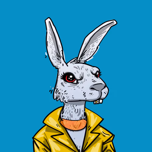 Kool Rabbits #145