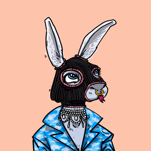 Kool Rabbits #250