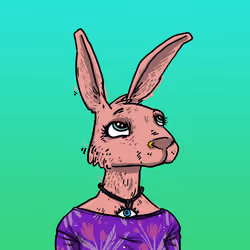 Kool Rabbits #489