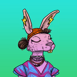 Kool Rabbits #529
