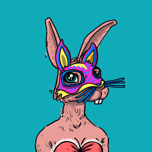 Kool Rabbits Chapter1