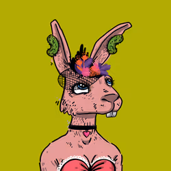 Kool Rabbits #675