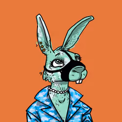 Kool Rabbits #276