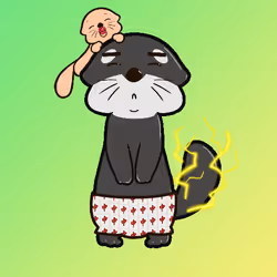 21