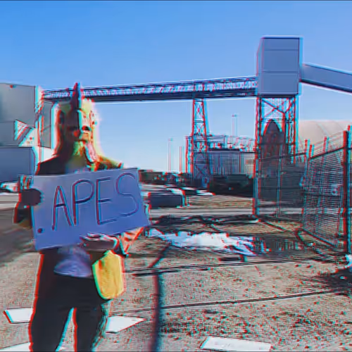 80444908073533197691606473090052159579028970975144232867384501265213336662210