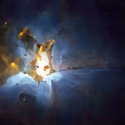 31