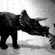 Return to Dino-Rama 26: Triceratops