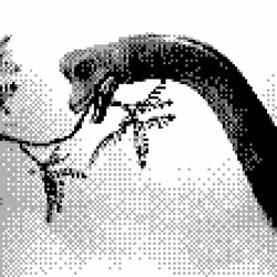 501