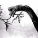 Return to Dino-Rama 21: Brachiosaurus