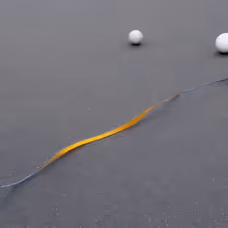 58