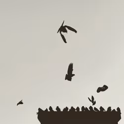 595