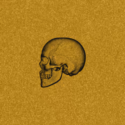 Digitz Genesis #0499