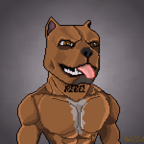 Metarebelzpixelz