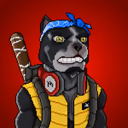 MR Pixel #2411