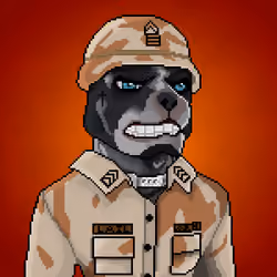 MR Pixel #1072