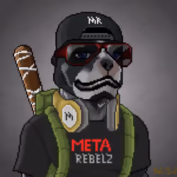 MR Pixel #3169