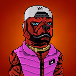 MR Pixel #1557