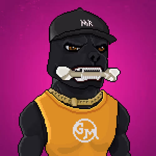 MR Pixel #229
