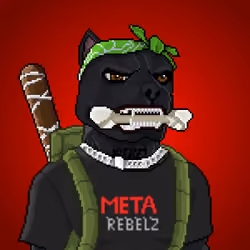 MR Pixel #2055