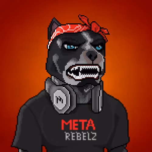 Metarebelzpixelz