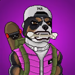 MR Pixel #1229