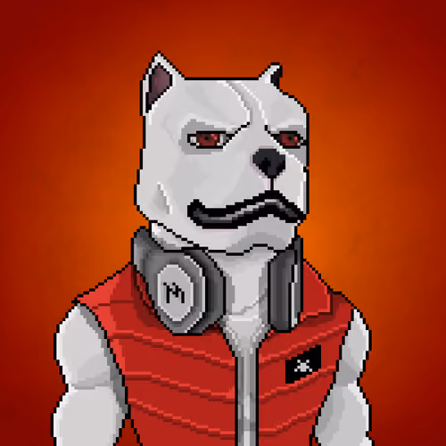 MR Pixel #1064