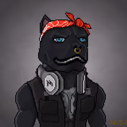 MR Pixel #5877