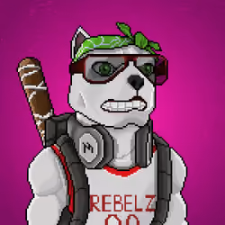 MR Pixel #6202