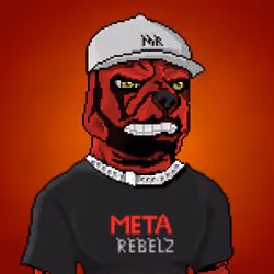 MR Pixel #2051