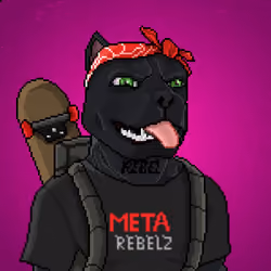 MR Pixel #1956