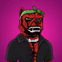 MR Pixel #650