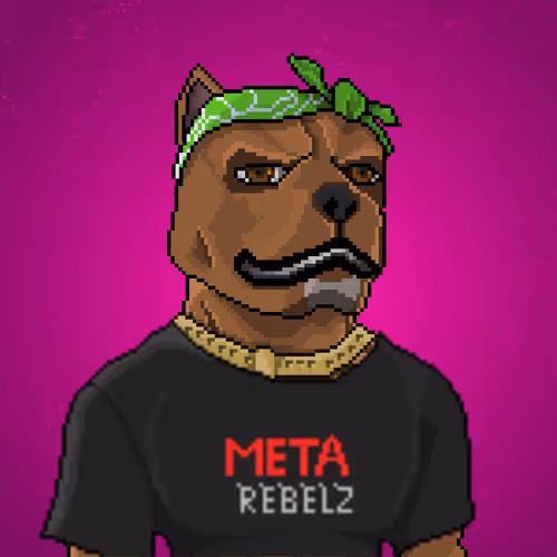 Metarebelzpixelz