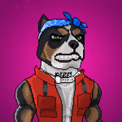 MR Pixel #2528
