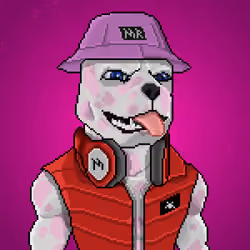 MR Pixel #3582