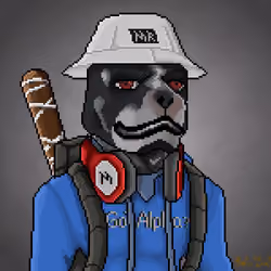 MR Pixel #1560