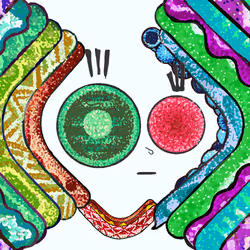 6
